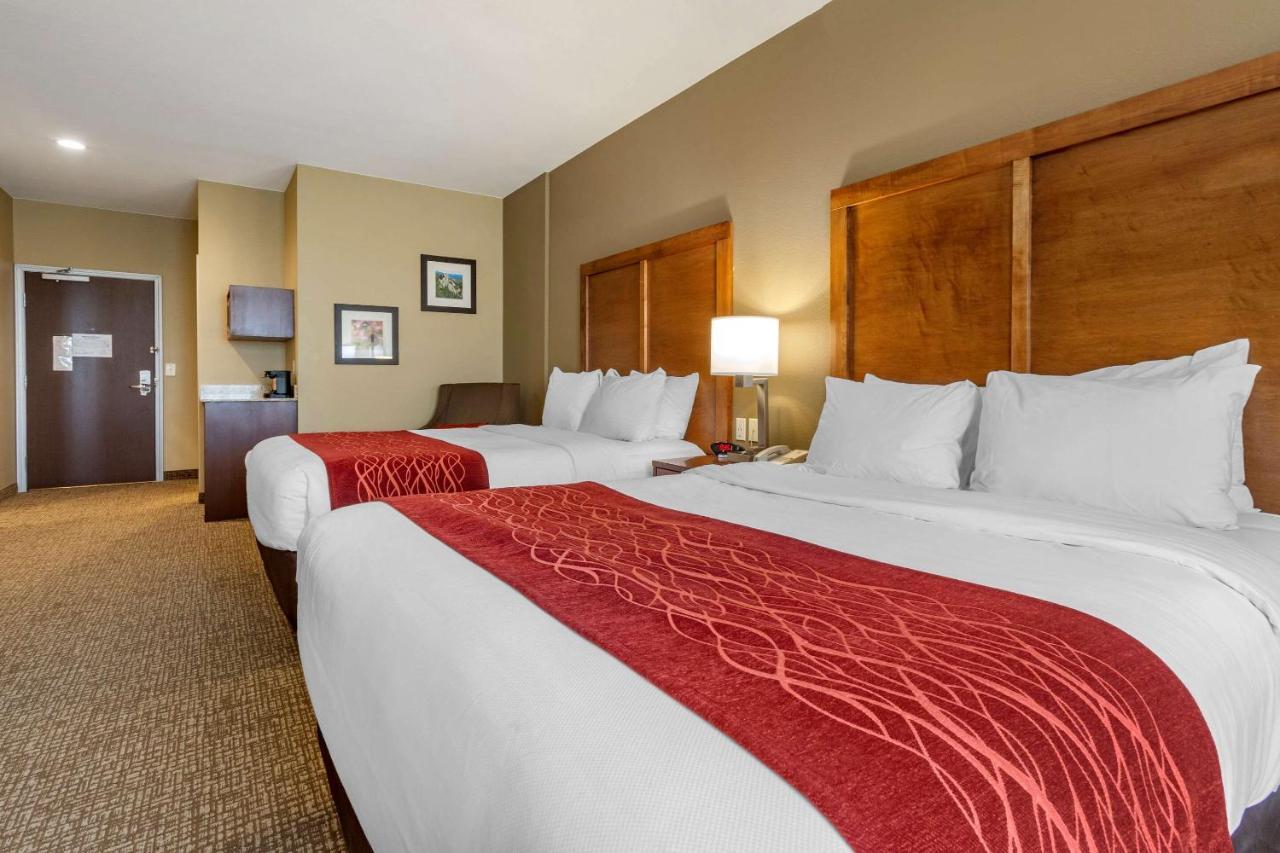 Comfort Inn & Suites Near Mt Rushmore Hill City Extérieur photo