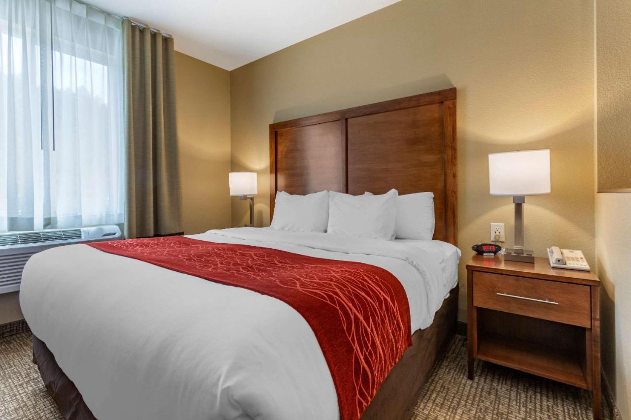 Comfort Inn & Suites Near Mt Rushmore Hill City Extérieur photo