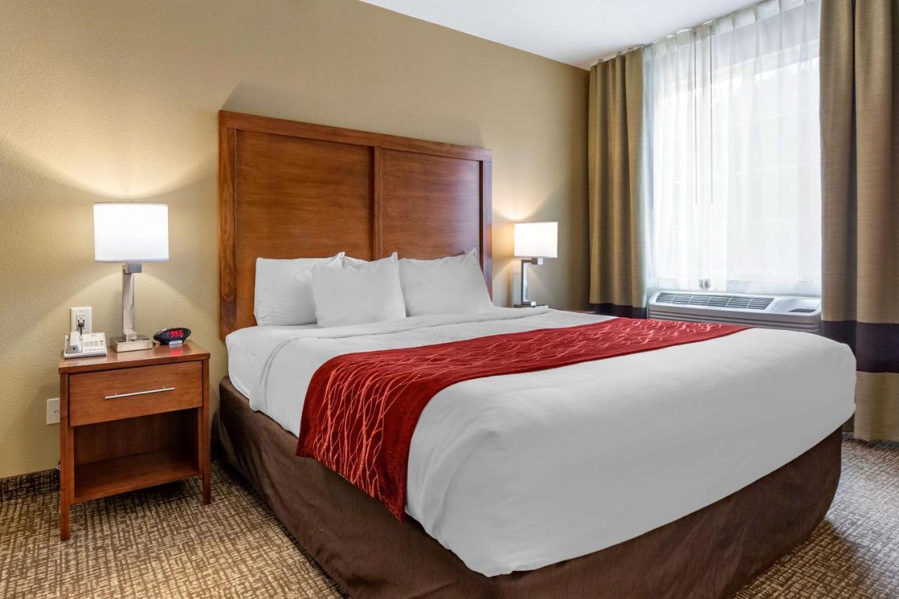 Comfort Inn & Suites Near Mt Rushmore Hill City Extérieur photo